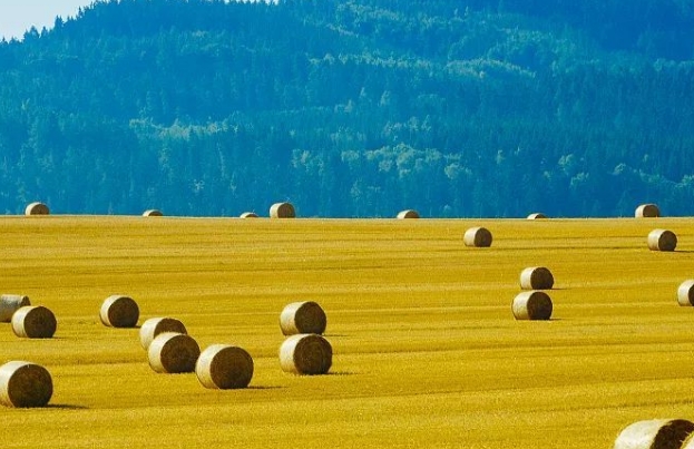 微信截圖_20231103154703