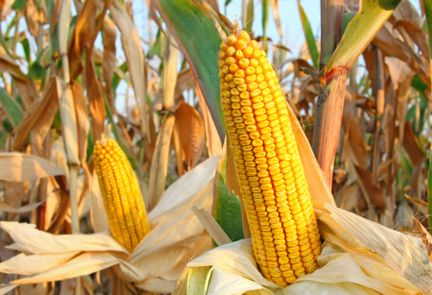 微信圖片_2026-02-26_164220_826