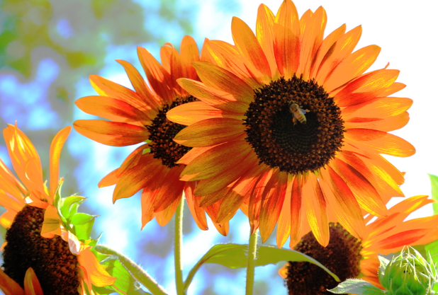 微信圖片_2026-02-26_180520_285