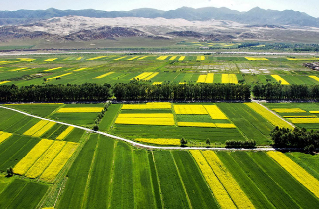 微信圖片_2026-02-26_180625_790